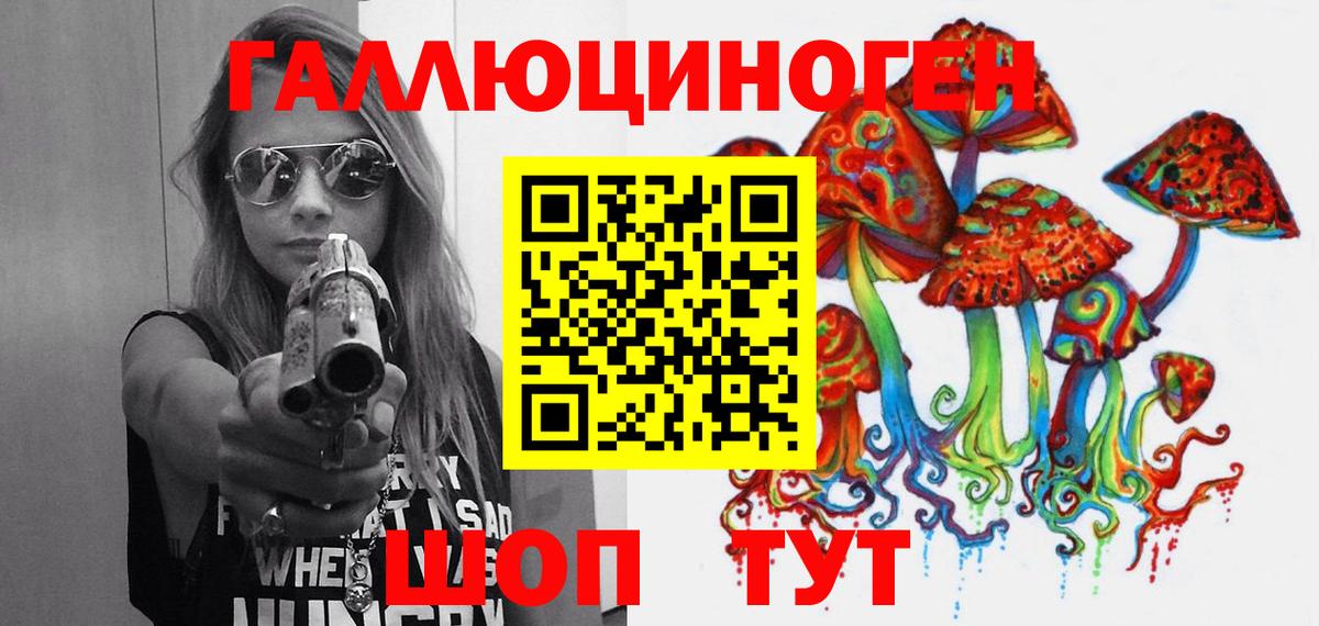 Псилоцибиновые грибы Psilocybine cubensis  Вход с VPN  Александров 